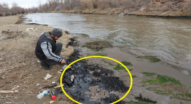  Bunu yapanlar doğa katili 