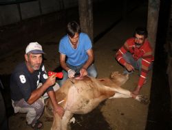 Veteriner besici duası aldı