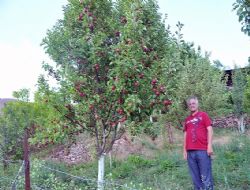 Şöhreti Erzurum üstünden ülkeye yayıldı