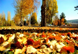 Kampüste Sonbahar bir başka güzel