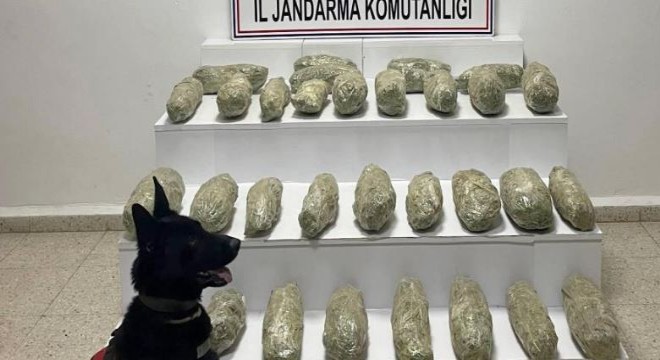 21 kilo 350 gram skunk ele geçirildi