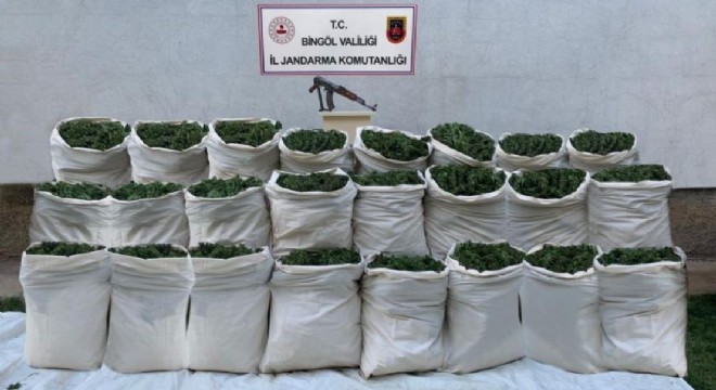 665 kilo esrar, 10 bin kök kenevir ele geçirildi