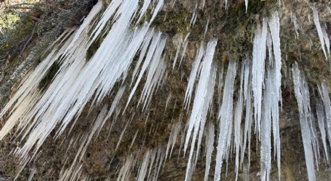 Ağrı da eğitime 1 gün ara