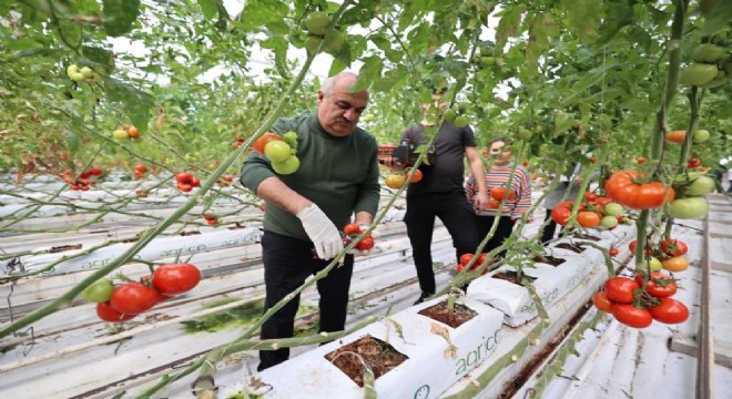 Aziziye termal seralarında yeni dönem