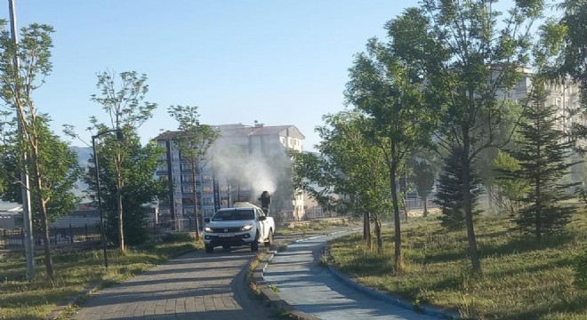 Büyükşehirden ilaçlama seferberliği