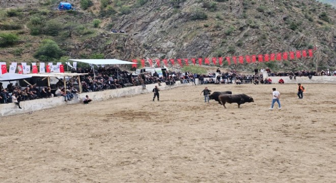 Çamlıkaya boğa güreşlerine yakışmayan fina