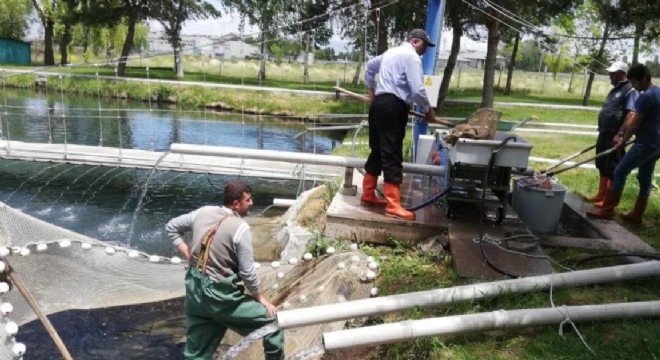 Erzurum Tarım ekonomisinde su ürünleri gündemi