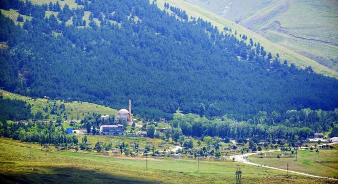 Erzurum Valiliğinden Orman genelgesi