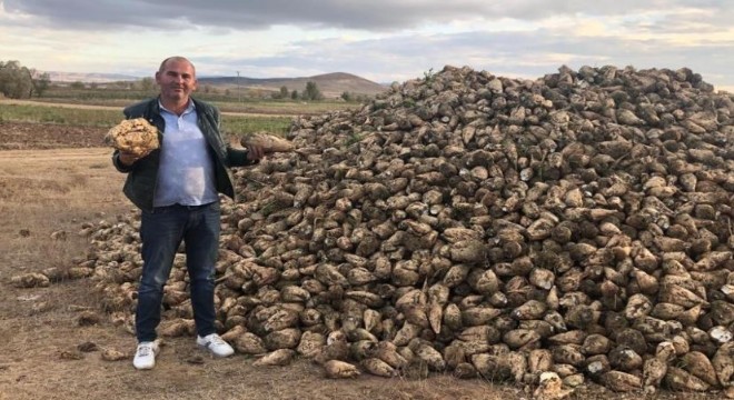 Erzurum ve Erzincan’da şeker pancarı hasadı başladı