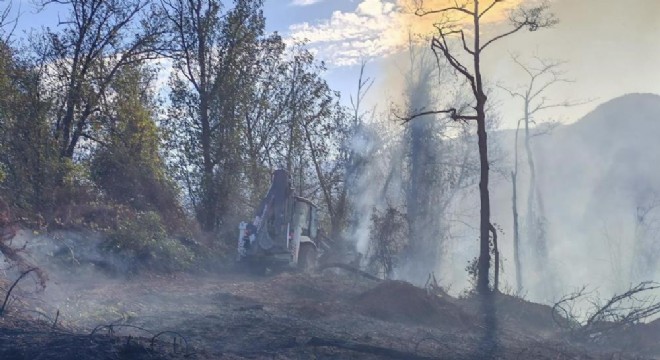 Hopa'da ziraat alanında çıkan yangın ormana sıçradı