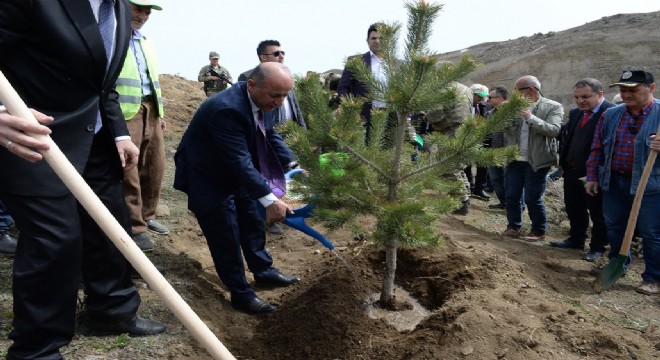 Karakale Ağaçlandırma projesi başladı