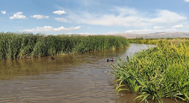 Kayıp Balkaya için Karasu Nehri'nde arama