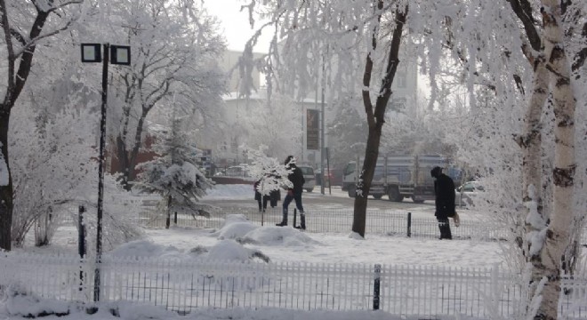 Kırağıyla oluşan görsel şölen