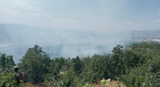 Orman yangını büyümeden söndürüldü