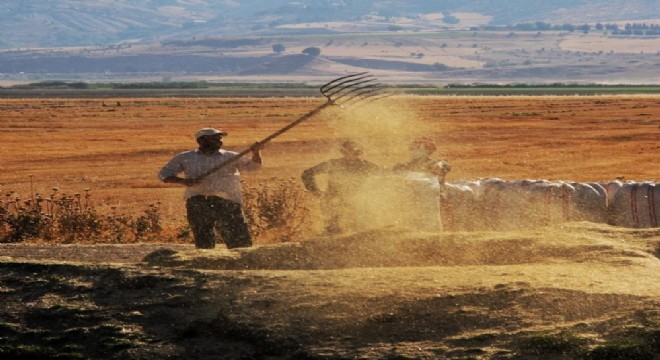 Tarım-ÜFE yıllık yüzde 28,96 arttı