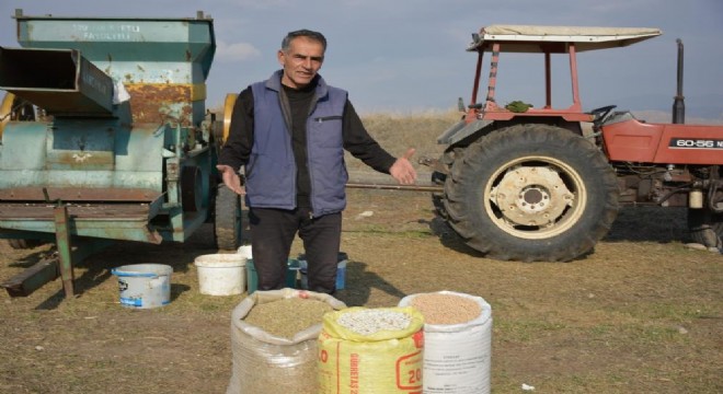 Tazegüllü girişimciden ata tohumu üretimi