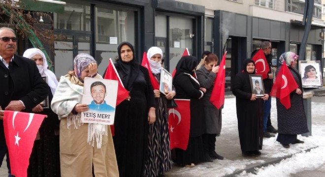 Vanlı Ailelerin evlat nöbeti devam ediyor