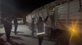 42 kaçak göçmen yakalandı