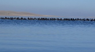 Burası Antarktika değil, Doğu Anadolu