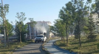 Büyükşehirden ilaçlama seferberliği