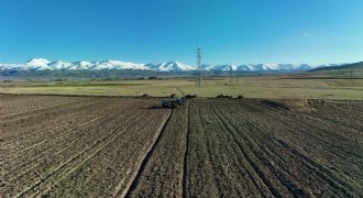 Erzurum ATL arazisinde güzlük ekimi