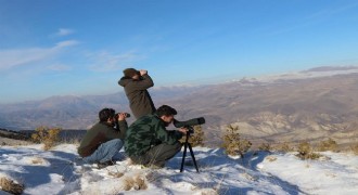 Erzurum yaban hayvanları popülasyonu mercek altında