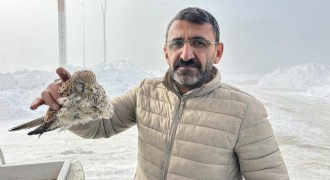 Konduğu yerde dondu