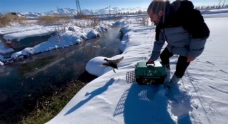 Soğuk hayata mola verdirdi