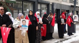 Vanlı Ailelerin evlat nöbeti devam ediyor