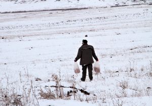 Yaban hayatına yem takviyesi