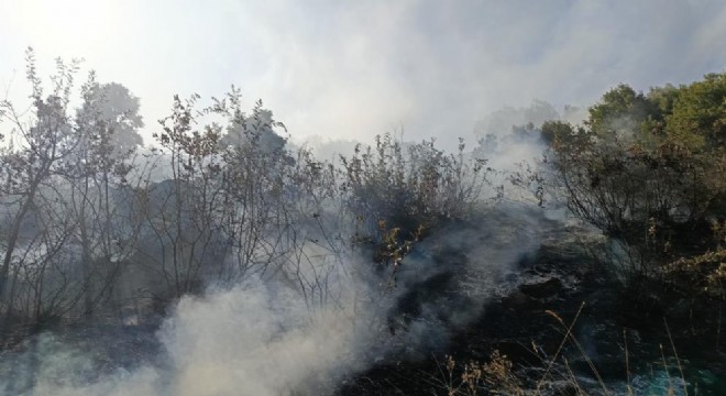 Bingöl'de orman ve mera yangınları söndürüldü