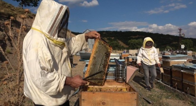 Doğu Anadolu'da bal sağım mesaisi
