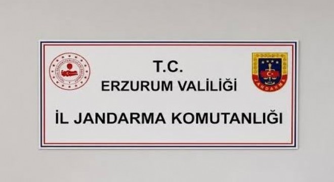Jandarmadan siber suç operasyonu
