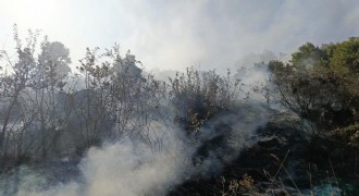 Bingöl'de orman ve mera yangınları söndürüldü