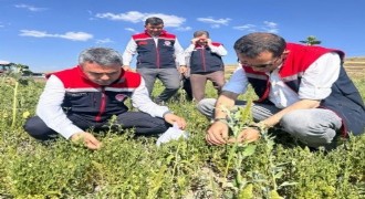 Tohumlar toprakla buluştu, ekipler sahaya indi